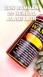 Minyak Pijat Khusus Pria Ampuh Wamena Oil Original BPOM 100% ASLI Alami Herbal Tahan Lama PERMANEN
