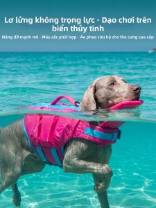 hipidog | New Multicolor Dog Life Jacket