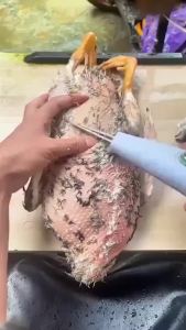 Electric Quick Chicken Plucker Feather Removal Machine Chicken Duck Goose Automatic Epilator Dehairing Hair Plucking Device