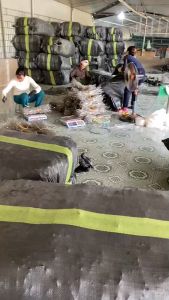 MIẾN DONG THÁI TAY SỢI TO ĐIỆN BIÊN_Miến ăn dai ngon