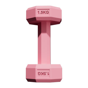 JINGJIE | Home Training Dumbbells 2kg Pair