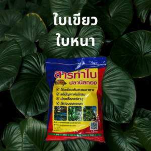 สารทำใบ เร่งใบ ใบเขียว การเติบโต ต้นใหม่ ป้องกันต้นโทรม กระสอบ 10 กก. ตราปลานิลทอง