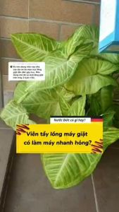 Viên tẩy vệ sinh lồng máy giặt Denkmit làm sạch lồng giặt chống mảng bám Yêu Bếp Nghiện Nhà VNM