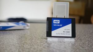 Western Digital Element 250GB, 500GB & 1TB SSD: A Comprehensive Guide