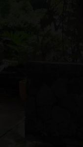 TERMURAH MEYRA 389 DRESS MUSLIM PREMIUM 100 % ORI COCOK UNTUK OUTFIT LEBARAN KONDANGAN KULIAH & DAILY  TERBARU & KEKINIAN