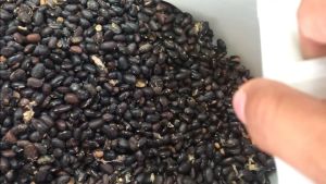 BLACK BEANS (1KG REPACKED)