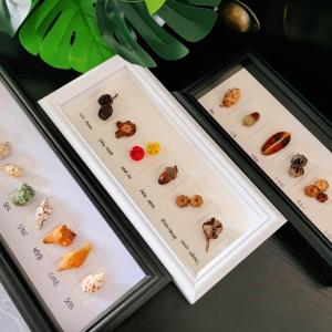 DIHUANTUO | Handmade DIY Specimen Display Photo Frame