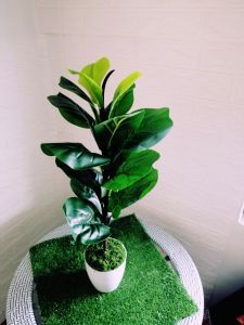 Artificial plant pokok hiasan for Home fiddle fig tree