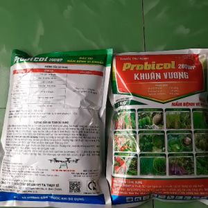 Probicol 200WP- Khuẩn Vương thành phần Bismerthiazol 190g/kg + Kasagamycin 10g/kg trừ bệnh cây trồng thán thư héo rủ đốm lá phấn trắng đốm đen héo xanh loét do v.i kh.uẩn