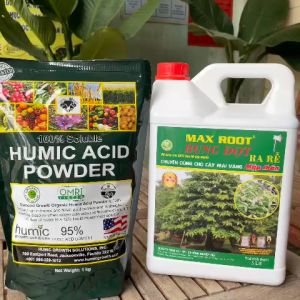 Combo HUMIC MỸ 1Kg Và MAX ROOT BUNG ĐỌT 5 Lit– Dưỡng Cây Khỏe Ra Rễ Cực Nhanh Đâm Chồi Mạnh Mập Thân
