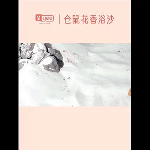 YEE Hamster Bath Sand / Dust Free Hamster Bathing Sand 2kg / Deodorizing Bathing Sand / Toilet Bathing Sand / Potty Litter Sand for Hamster Chinchillas Gerbil Syrian Mice Small Animals