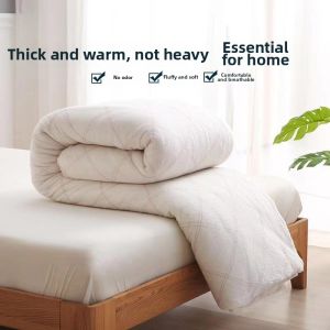 Thickened Warmth Quilt Insert