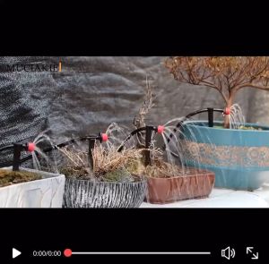 5/10/15/25M Mini Drip Irrigation Kit Garden Plant Watering Kit Garden Fog Cooling Irrigation System with Distribution Tube Hose Adjustable Nozzle 1/4 inch Hose