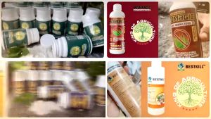 Green Combo 1 Rooting King Powder and 1 Organic Pesticides from Neem Oil Bestkill - Genuine TreesMax