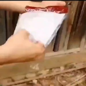 Cutton Spider Net Dekorasi Halloween / Spider Web Sarang Laba-laba