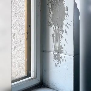 水泥清洁剂 | 强效清理墙面瓷砖水泥灰 Cement Cleaner | Powerful Wall and Tile Cement Residue Remover