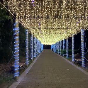 HOMEMORY Christmas Curtain Light Solar / Plug String Lights LED Curtain Icicle Light Indoor Outdoor Party Garden