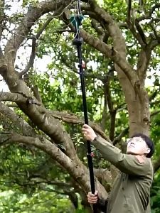 8INCH 6.0Ah mesin potong pokok Telescoping Pole Electric 2 Meter Chainsaw Chainsaw battery gergaji elektrik 高枝锯