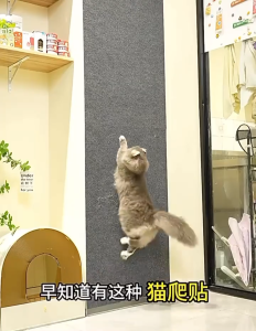 Cat Scratch Mat Trimmable Self-Adhesive Carpet Bear 10kg Cats DIY Climb Cat Scratcher for Furniture Couch or Wall Protector Covering Cat Scratching Post Replacement Pads