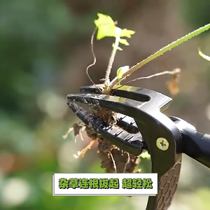 Weed Puller Manual Weed Removal Tools with Long Handle Sturdy Standup Weed Root Pulling Tool