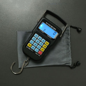 High Precision Portable Scales 50kg Kitchen Tools for Buying Vegetables Street Vendors with Ruler Multi-Function Luggage Scales