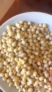 Hạt sen khô miền trung bở bui dùng nấu chè chưng yên loại ngon rất tốt