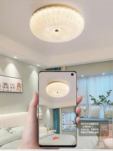 Aiskdan | Elegant and Modern Ceiling Light for Bedroom 2025 New Model