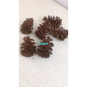Tanaman Hias Bunga Kering Pinus Coklat Artificial Hiasan Dekorasi Studio Aesthetic