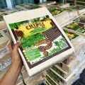 Pet’s dream (CHIPSI SNAKE) 2 kg รองพื้นสำหรับงู ขี้เลื่อยงู แบบนุ่ม เกรดพรีเมี่ยม ขี้เลื่อยสำหรับงู เม่น หนูแฮมสเตอร์. 