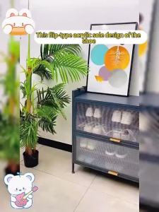 Steel shoe cabinet Large capacity Dust-proof and insect-proof Multi-purpose storage cabinet Home furniture