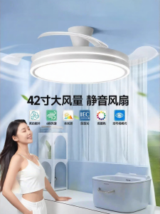 Smile | Modern Home LED Ceiling Fan Light