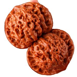 หมากเมล็ดมะพร้าวขนาดใหญ่สำหรับผู้ชาย เครื่องประดับไม้แบบโบราณ ลายหน้าม้า ลายหยก ทรงหมวกขุนนาง สไตล์ดั้งเดิม