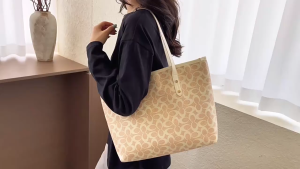 2010 ( READY STOCK ) PU SLING BAG EU FASHION HOUSE
