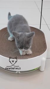 Round Classy Cat Scratcher Corrugated Scratching Board Replaceable Cat Play Catnip Core Refill | Cat Scratching Board | Cat Toys