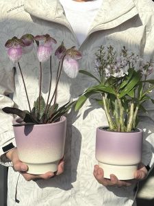 Scandinavian French Style Macaron Phalaenopsis Flower Pot Ceramic Tulip Dendrobium Succulents For Home Accessible Luxury Fancy