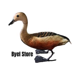 Decoy Burung Belibis Kembang - Jontrot Patung Burung Belibis