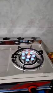 Homelux Stainless Steel Double Standing Cooker LPG Hawker Stove Dapur Masak Berkaki SIRIM Auto Ignition Gas