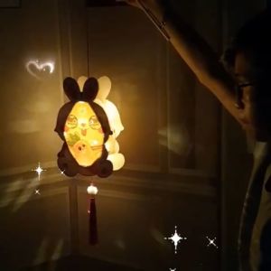 Đèn lồng Tết Trung Thu Có Đèn cho bé hình thú nhiều màu sắc Lồng đèn trung thu cho bé