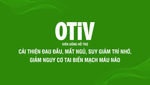 [Tặng 15v] Combo 2 Hộp 60v - Viên Uống Bổ Não OTiV Ecogreen Hỗ Trợ Giảm Đau Đầu Mất Ngủ hàng chính hãng made in USA