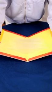Lem Perangkap Tikus Super Lengket / Jebakan Tikus Model Buku Aman Digunakan