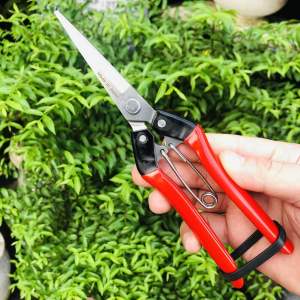 Kéo cắt cành Nhật nội địa sắc bén không rỉ cầm đầm tay