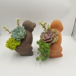 Chậu đất nung chậu sen đá - Chuột chũi 716 miệng chậu 7cm chiều cao 16cm