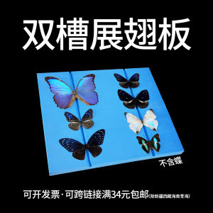 Oversized Double-Slot Fin Plate Fixed Long Widened High Density Eva Butterfly Insect Specimen DIY Making Tools