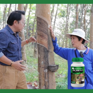 สหายพารา 1 ลิตร