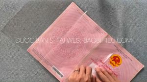 Combo túi đựng sổ hồng sổ đỏ bằng nhựa dẻo trong PVC Bao bì Hiếu