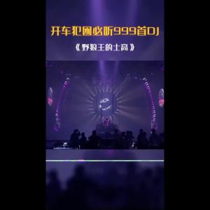 荷东猛士经典的士高舞曲U盘70/80年代舞厅disco野狼王MP3/4高音质Hedong Mengshi classic disco U disk 70/80s dance hall disco wolf king MP3/4 high sound quality