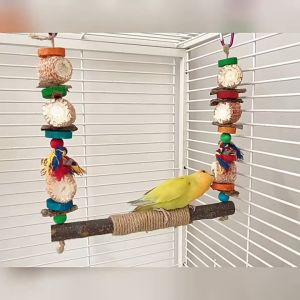 🇸🇬 Parrot Mouth-Grinding Hemp Rope Standing Pole with Corncob Swing Set