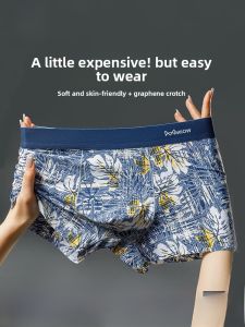 miiow | Mens Ice Silk Briefs Flat Angle Underwear Breathable Thin Summer Shorts MiiOW Cat Person Sport Style Mid Waist Nylon Fabric