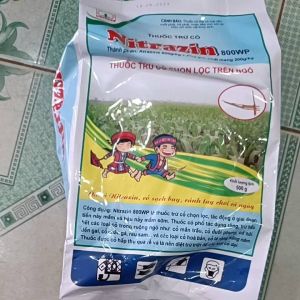 NITRAZIN 800WP trừ cỏ giai đoạn tiền nảy mầm và hậu nảy mầm sớm trên ruộng ngô bắp