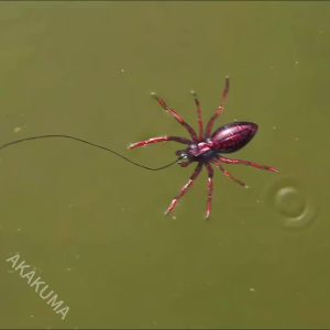 Mồi Nhện Mềm Nhân Tạo Nổi Trên Mặt Nước 5 Màu Dùng Để Câu Côn Trùng Trong Nước Ngọt Và Nước Mặn Ở Biển Sông Hồ.